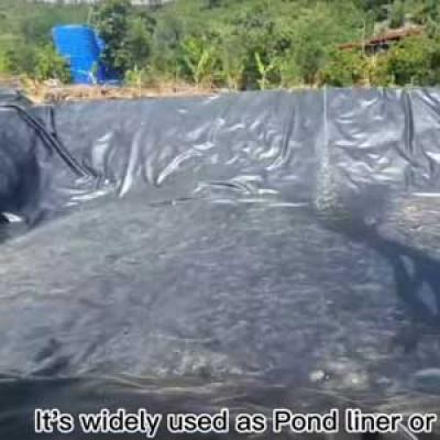 POND LINER AND THE PRODUCTION