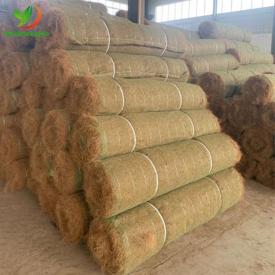 Coir matting for erosion control , slope protection