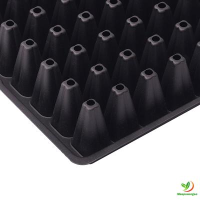 Big Chilli seedling Farm using 200cell PS seedling tray.Good quality and Reasonable price.