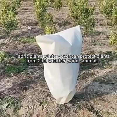 Non woven fabric plants winter cover