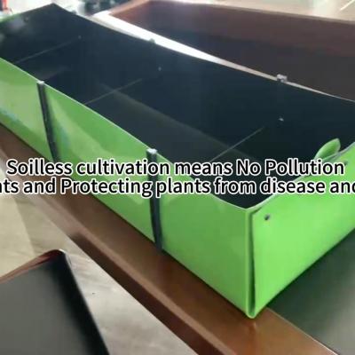 New and Hot item ! Soilless cultivation trough !