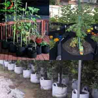 100 GALLON HYDROPONICS BAG GROWING GUTTERS FOR CANABS,BLUEBERRY,GREENHOUSE PLANTS