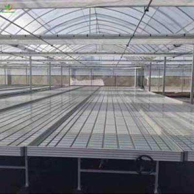 PLASTIC 2' x 4' FLOOD TRAY AND 2X2 EBB FLOW FOR  AGRICULTURE GREENHOUSE ,HYDROPONIC SYSTEM