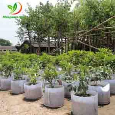 2 GALLON COCO PEAT BIODEGRADABLE PLANT GROW BAGS POT  FOR CANABS,BLUEBERRY,TREES GROWING 