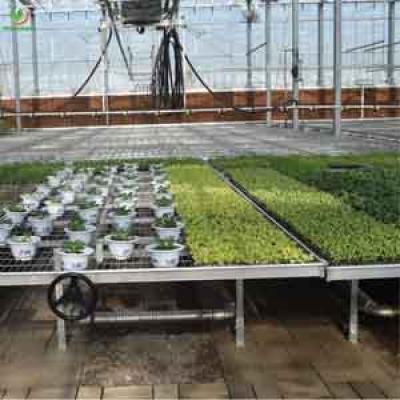 4X8 4X4 5X5 HYDROPONIC EBB AND FLOW TRAYS MANUFACTURER WHOLESALER  FOR AGRICULTURE GREENHOUSE AND PLANTS CANABS NURSEY