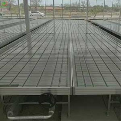 3X3 5X10 3X6 EBB TRAY WHOLESALE FOR AGRICULTURE GREENHOUSE AND HYDROPONIC SYSTEM 