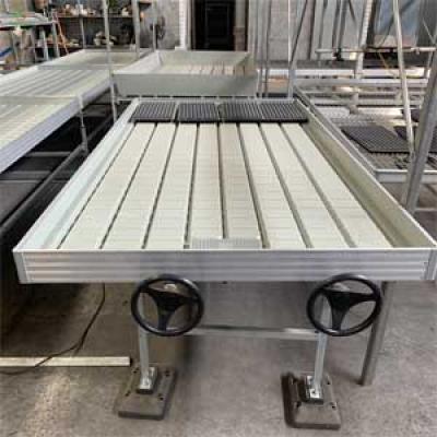 2X2 3X8 4X8 FLOOD AND DRAIN TRAY FACTORY SUPPLIER FOR  AGRICULTURE GREENHOUSE AND PLANTS CANABS NURSEY  