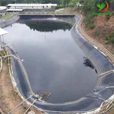 BASIN GEOMEMBRANE PE FILM FOR SWIMMING POOL