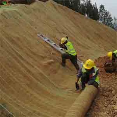 300G,350G  EROSION CONTROL MATTING FACTORY FOR PRODUCT