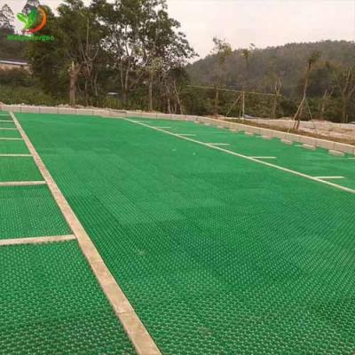 38 50mm DRIVEWAY GRASS PAVER GRIDS FOR PARKING LOT ,PATIO