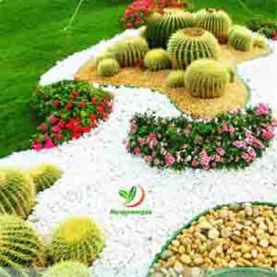 5CM 5INCHE GARDEN PLASTIC LAWN EDGING / FLOWER BED BORDER