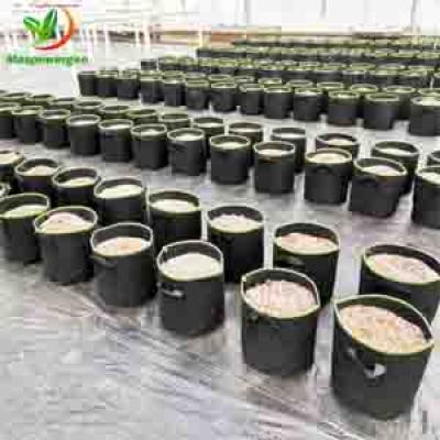 HDPE BLACK PLASTIC GROW BAGS FABRIC POT FOR CANABS,BLUEBERRY,GREENHOUSE PLANTS