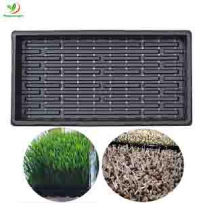 1020 AGRICULTURAL MICROGREENS SEED TRAY FOR WHEATGRASS ,FODDER ,SPROUTING 