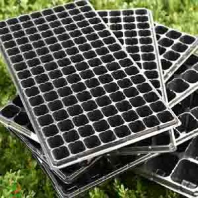 50 72 105 200 288 CELLS PLASTIC NURSERY SEED TRAY FACTORY or MANUFACTURER