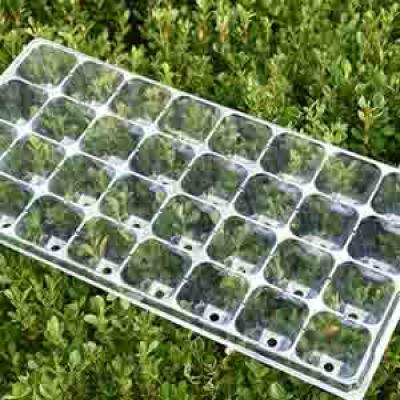 15 32 50 72 98 128 200 288 CELLS PLASTIC NURSERY TRAY SEEDLING FOR VEGETABLE