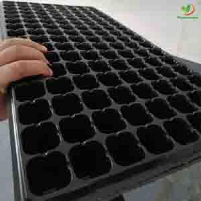 50 72 128 200 288 HOLES PLASTIC SEEDLING TRAY FACTORY OR MANUFACTURER