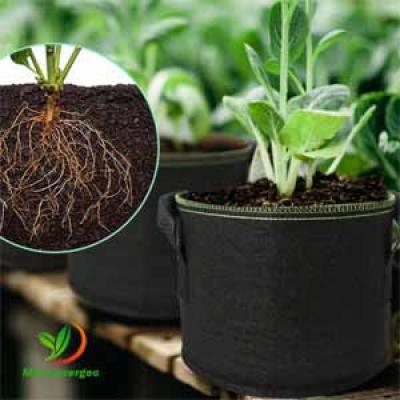 POLY COCOPEAT GROW BAGS  FOR CANABS,BLUEBERRY,FLOWER GROWING