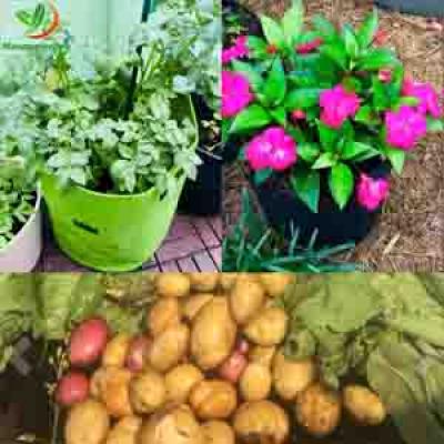 POTATO PLANTER GROWING BAG FOR GREENHOUSE PLANTS,FLOWER GROWING