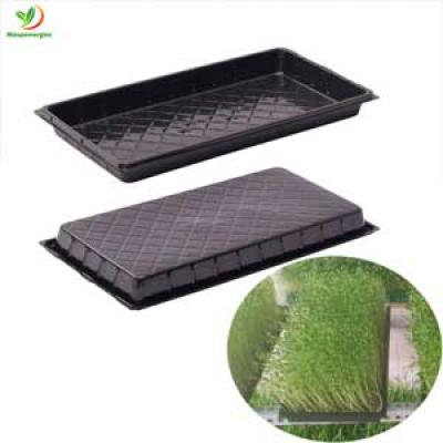 60X30 RICE SEED TRAY PVC PS ALSO FOR MICROGREENS ,WHEAT GRASS