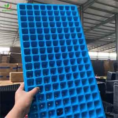 50 72 128 200 288 HOLES PLASTIC SEEDLING TRAY FACTORY OR MANUFACTURER